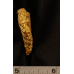 Large Gold Nugget "Honest Abe" gnm105