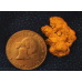 Large Gold Nugget "Raw Wilderness!"  gnm274