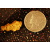 Large Gold Nugget "The Dancing Mushroom"  gnm277