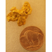 Large Gold Nugget gnm328