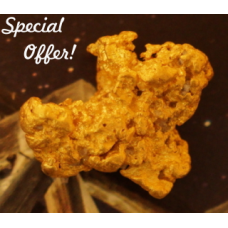 Large Gold Nugget gnm328