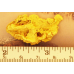 Large Gold Nugget gnm351