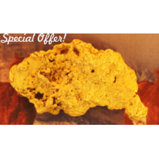 Large Gold Nugget gnm351