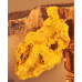 Large Gold Nugget gnm351