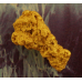 Large Gold Nugget gnm480