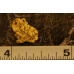 Medium Gold Nugget gnm482