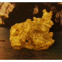 Medium Gold Nugget gnm488