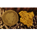 Medium Gold Nugget gnm494