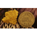 Medium Gold Nugget gnm494