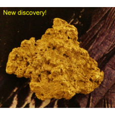 Medium Gold Nugget gnm494