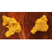 Small Gold Nuggets gnm335