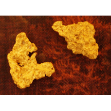 Small Gold Nuggets gnm335