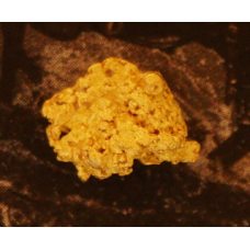 Small Gold Nugget gnm345