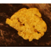 Small Gold Nugget gnm345