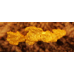  "The Golden Pterodactyl" Small Gold Nugget gnm358