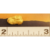 Small Gold Nugget gnm390