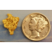 Small Gold Nugget gnm403