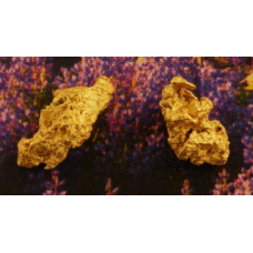 Small Gold Nugget gnm420