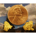 Small Gold Nugget gnm423