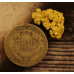 Small Gold Nugget gnm434