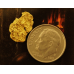 Small Gold Nugget gnm441