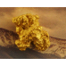 Small Gold Nugget gnm461