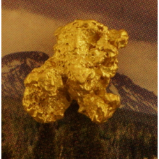 Small Gold Nugget gnm461