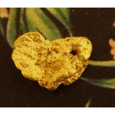 Small Gold Nugget gnm465