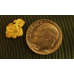 Small Gold Nugget gnm466