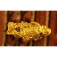 Small Gold Nugget gnm468