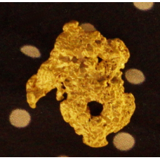 Small Gold Nugget gnm471