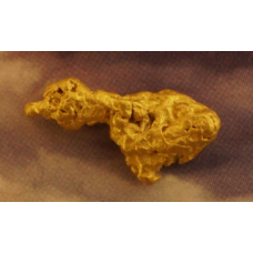 "The Golden Goldeneye!" Small Gold Nugget gnm473
