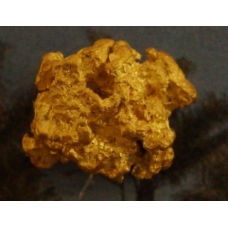 Small Gold Nugget gnm474
