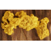 Small Gold Nugget gnm476