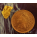 Small Gold Nugget gnm477