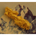 Small Gold Nugget gnm483