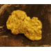The Golden Biscuit! Small Gold Nugget gnm484