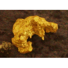 Small Gold Nugget gnm486