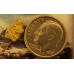 Small Gold Nugget gnm489