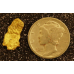 Small Gold Nugget gnm491