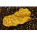 Small Gold Nugget gnm491