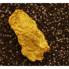 Small Gold Nugget gnm491