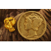 Small Gold Nugget gnm492