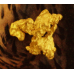 Small Gold Nugget gnm493