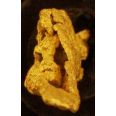 Small Gold Nugget gnm495