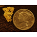 Small Gold Nugget gnm498