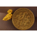 Small Gold Nugget gnm500