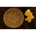 Small Gold Nugget gnm501