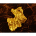 Small Gold Nugget gnm501