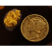 Small Gold Nugget gnm502